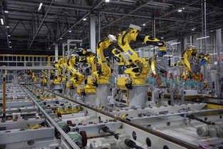 国产工业机器人未来几年 有望 领跑 部分细分领域